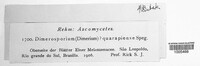 Phaeodimeriella guarapiensis image